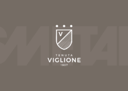 stoccaggio-automatizzato-magazzino-vitivinicolo